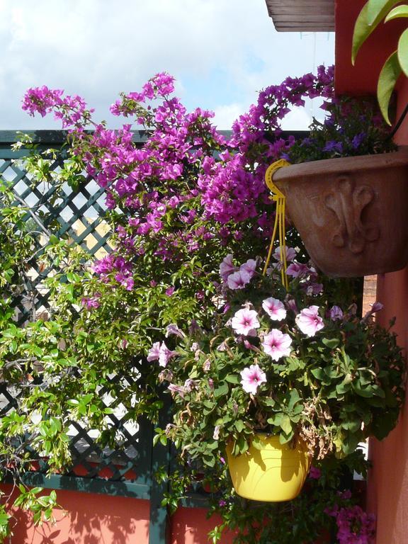 Li Rioni Bed & Breakfast Roma Eksteriør bilde